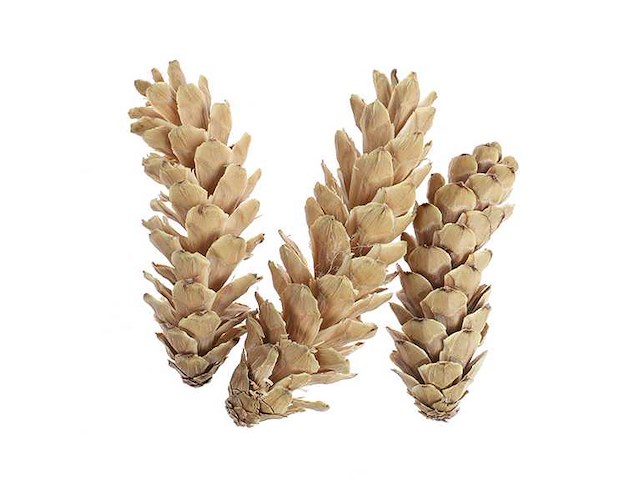 Partij natuur- en decoratieproducten (circa 145 pallets) - afbeelding 18 van  91