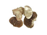 Partij natuur- en decoratieproducten (circa 145 pallets) - afbeelding 20 van  91