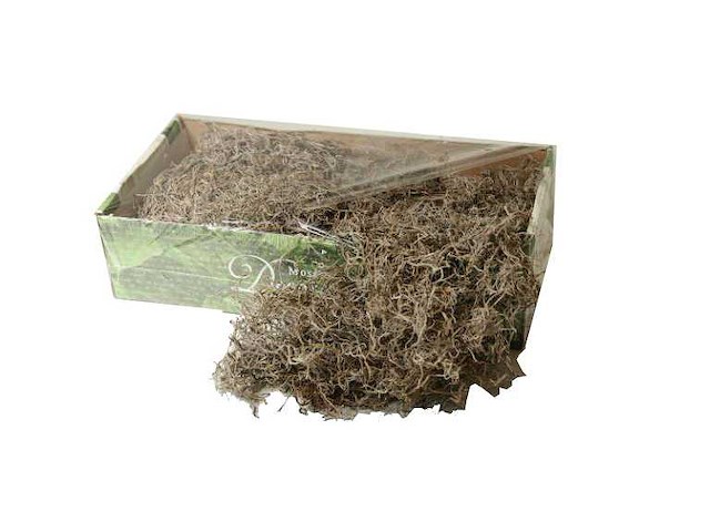 Partij natuur- en decoratieproducten (circa 145 pallets) - afbeelding 25 van  91