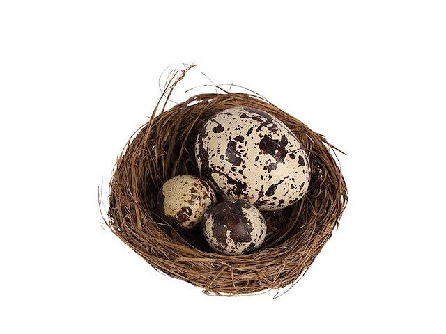 Partij natuur- en decoratieproducten (circa 145 pallets) - afbeelding 26 van  91