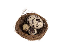 Partij natuur- en decoratieproducten (circa 145 pallets) - afbeelding 26 van  91