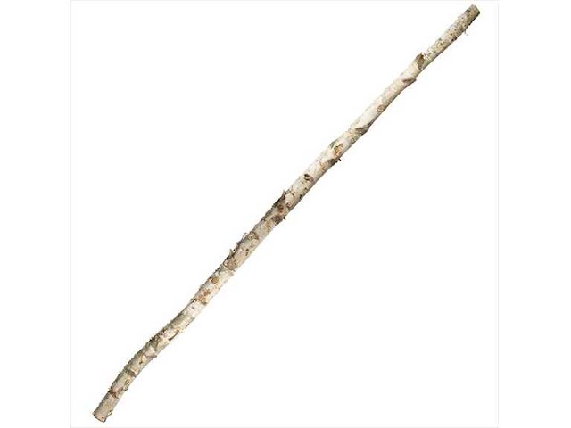 Partij natuur- en decoratieproducten (circa 145 pallets) - afbeelding 28 van  91