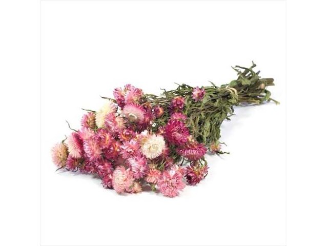 Partij natuur- en decoratieproducten (circa 145 pallets) - afbeelding 30 van  91