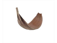 Partij natuur- en decoratieproducten (circa 145 pallets) - afbeelding 33 van  91