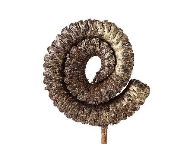 Partij natuur- en decoratieproducten (circa 145 pallets) - afbeelding 35 van  91