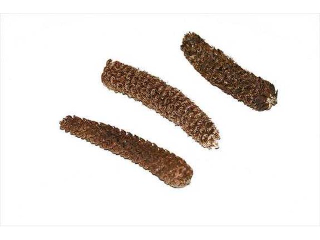 Partij natuur- en decoratieproducten (circa 145 pallets) - afbeelding 54 van  91