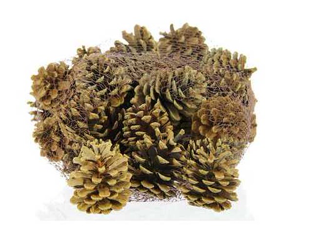 Partij natuur- en decoratieproducten (circa 145 pallets) - afbeelding 58 van  91