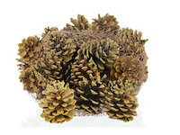 Partij natuur- en decoratieproducten (circa 145 pallets) - afbeelding 58 van  91