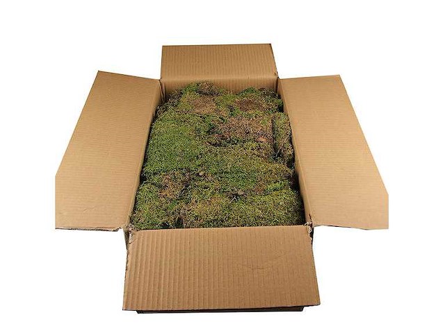 Partij natuur- en decoratieproducten (circa 145 pallets) - afbeelding 59 van  91