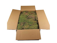 Partij natuur- en decoratieproducten (circa 145 pallets) - afbeelding 59 van  91