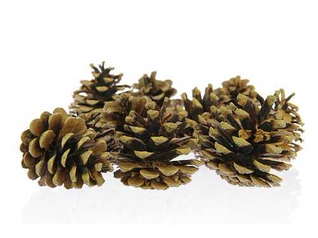 Partij natuur- en decoratieproducten (circa 145 pallets) - afbeelding 61 van  91