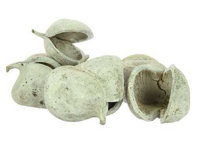 Partij natuur- en decoratieproducten (circa 145 pallets) - afbeelding 64 van  91