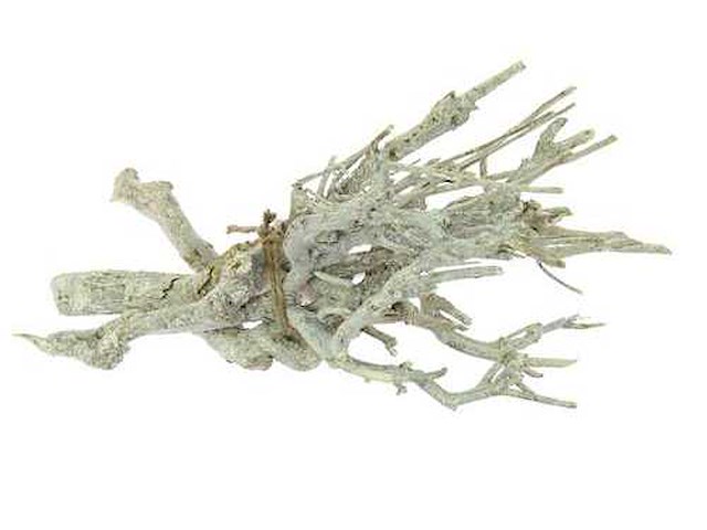 Partij natuur- en decoratieproducten (circa 145 pallets) - afbeelding 66 van  91