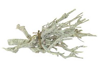 Partij natuur- en decoratieproducten (circa 145 pallets) - afbeelding 66 van  91