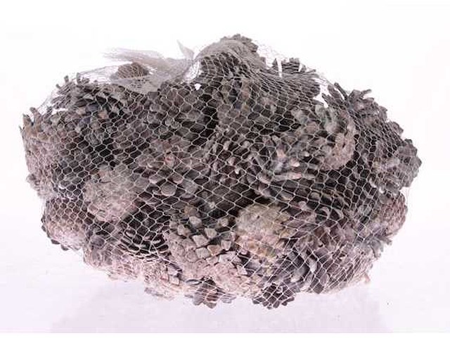 Partij natuur- en decoratieproducten (circa 145 pallets) - afbeelding 69 van  91