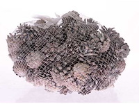 Partij natuur- en decoratieproducten (circa 145 pallets) - afbeelding 69 van  91