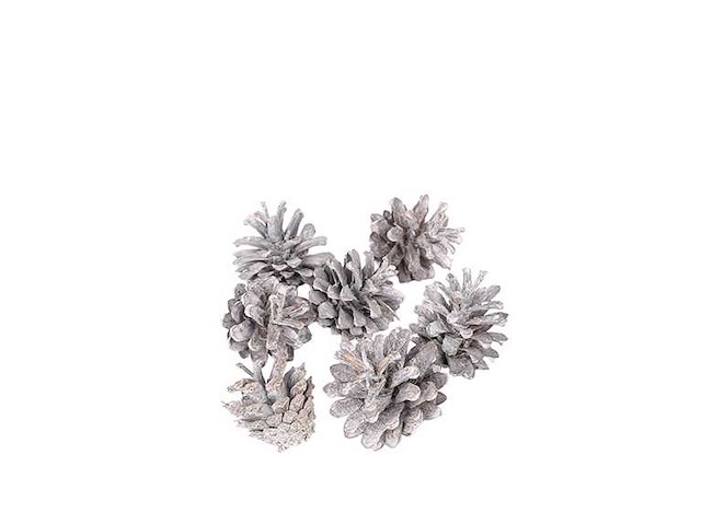 Partij natuur- en decoratieproducten (circa 145 pallets) - afbeelding 71 van  91