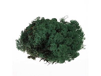 Partij natuur- en decoratieproducten (circa 145 pallets) - afbeelding 74 van  91