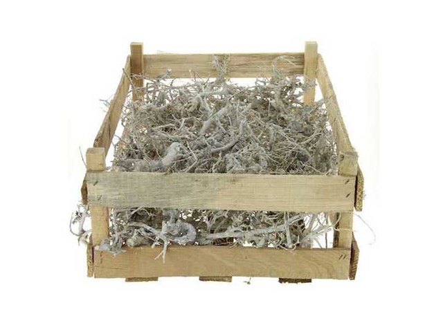 Partij natuur- en decoratieproducten (circa 145 pallets) - afbeelding 79 van  91