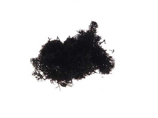 Partij natuur- en decoratieproducten (circa 145 pallets) - afbeelding 80 van  91