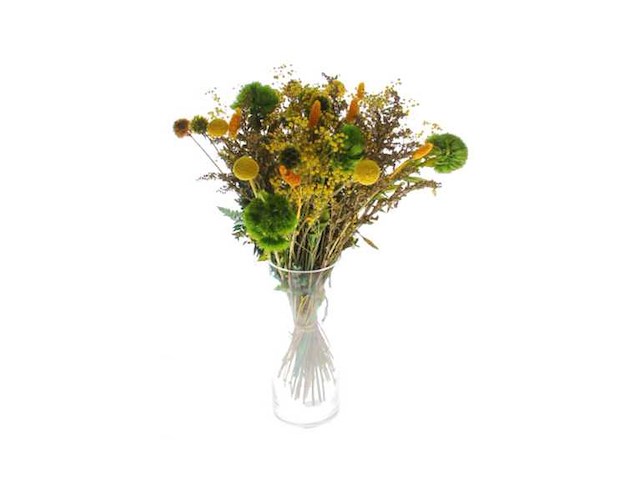 Partij natuur- en decoratieproducten (circa 145 pallets) - afbeelding 83 van  91