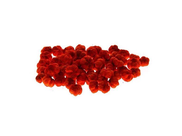 Partij natuur- en decoratieproducten (circa 145 pallets) - afbeelding 84 van  91