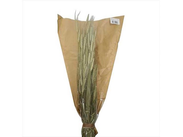 Partij natuur- en decoratieproducten (circa 145 pallets) - afbeelding 86 van  91