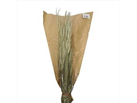 Partij natuur- en decoratieproducten (circa 145 pallets) - afbeelding 86 van  91