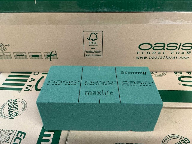 Partij oasis floral foam maxlife economy 20x10x7,5cm (500x) - afbeelding 1 van  6