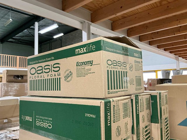 Partij oasis floral foam maxlife economy 20x10x7,5cm (840x) - afbeelding 6 van  7