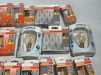 Partij osram lampen - afbeelding 3 van  5