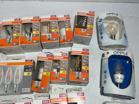Partij osram lampen - afbeelding 3 van  6