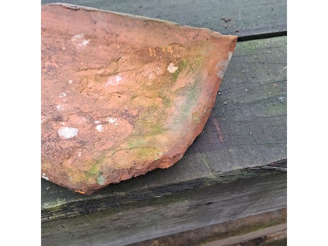 Partij oud hollandse dakpannen - afbeelding 6 van  8