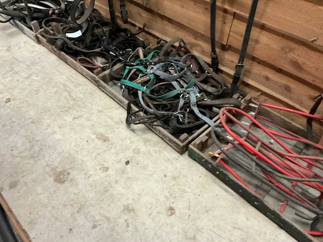 Partij paardenaccessoires - afbeelding 1 van  7