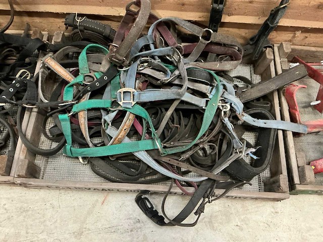 Partij paardenaccessoires - afbeelding 5 van  7