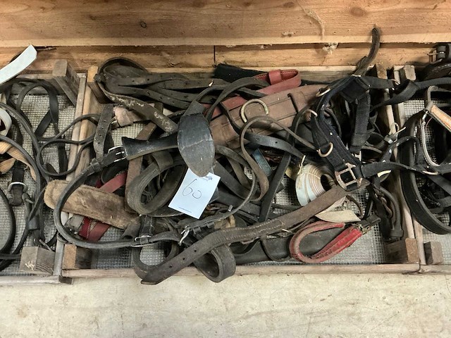 Partij paardenaccessoires - afbeelding 6 van  7