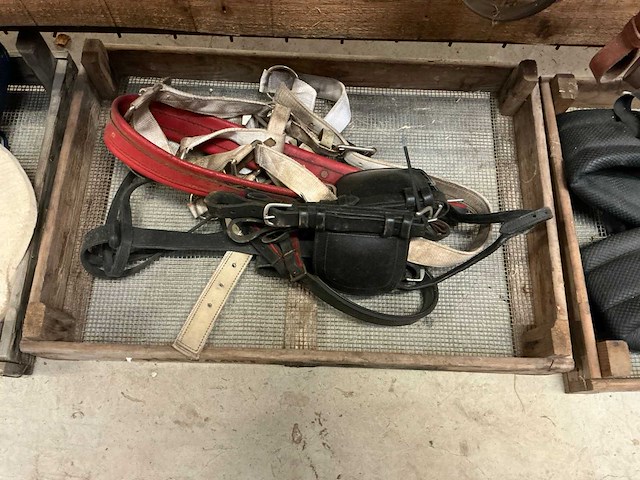 Partij paardenaccessoires - afbeelding 3 van  5