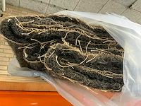 Partij paardenhaar voorraad - afbeelding 2 van  5