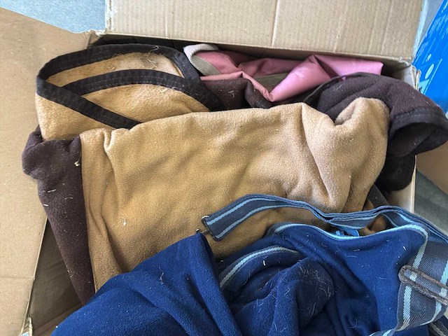 Partij paardrij accessoires - afbeelding 2 van  12