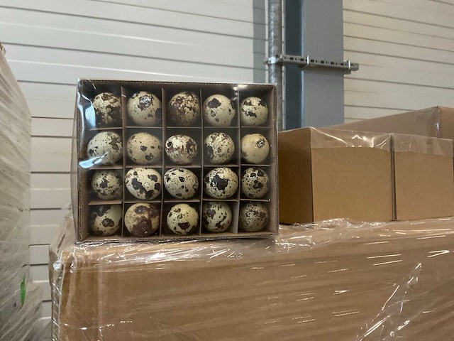 Partij paas artikelen - afbeelding 26 van  40