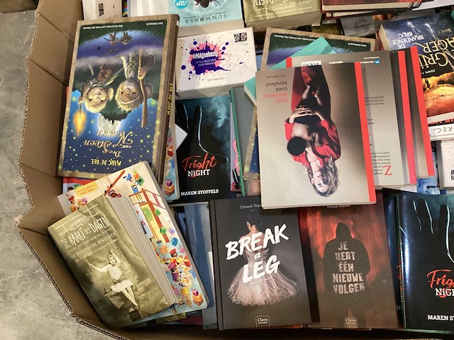 Partij pallet boeken - afbeelding 3 van  3