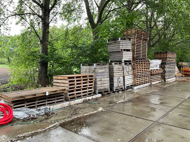 Partij pallets en kisten - afbeelding 9 van  16