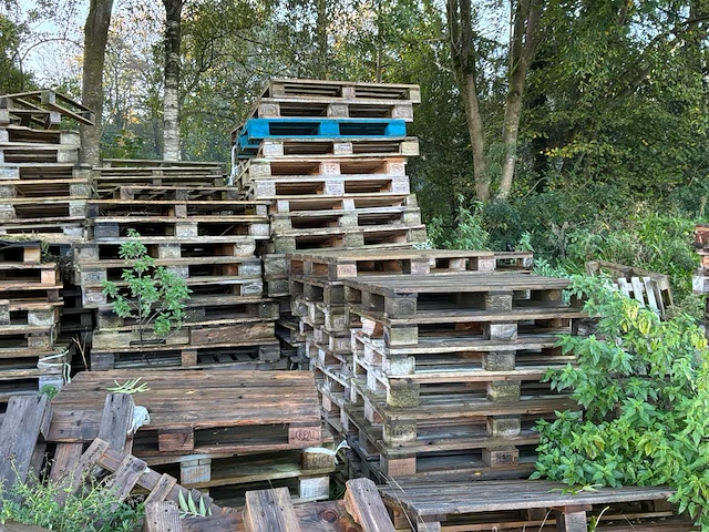 Partij pallets - afbeelding 2 van  7
