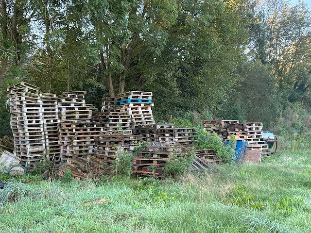 Partij pallets - afbeelding 3 van  7