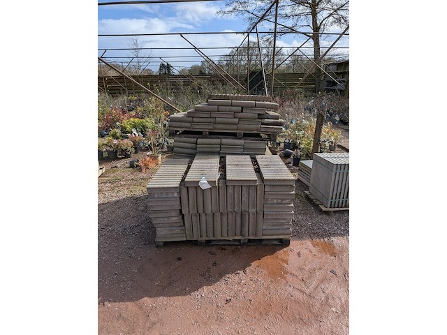 Partij pallisande-/blokjebanden - afbeelding 4 van  11