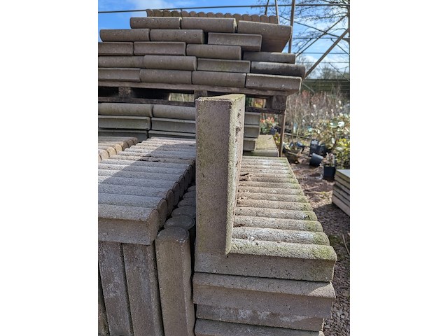 Partij pallisande-/blokjebanden - afbeelding 8 van  11