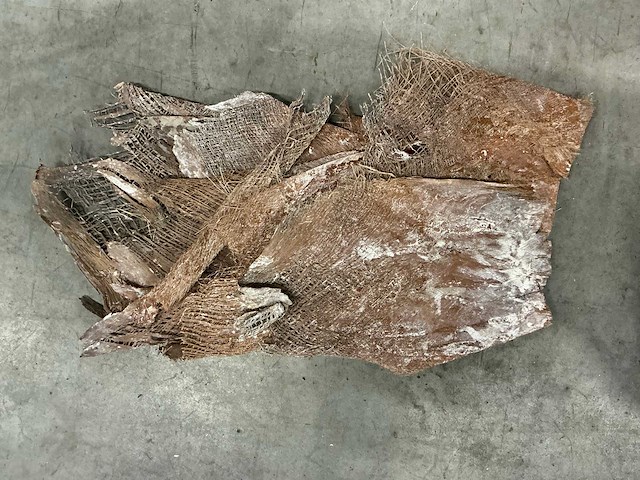 Partij palm bakla (172x) - afbeelding 5 van  6