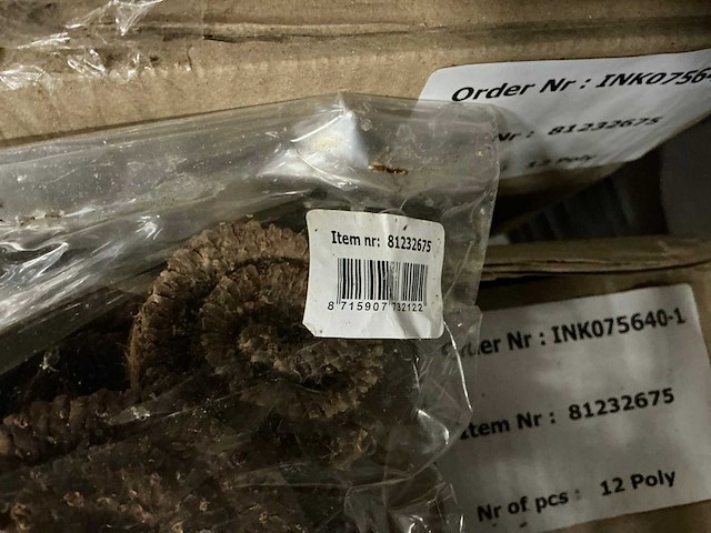 Partij palm rings (68x) - afbeelding 3 van  4