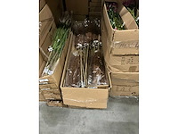 Partij pampas grass h115cm (60x) - afbeelding 4 van  5