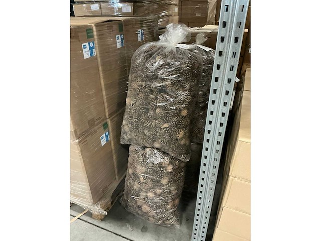 Partij pinecone oostenrijker 10kg per zak (6x) - afbeelding 2 van  3